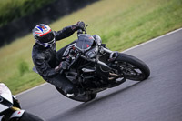 Evening Low_Mid Group Black Bikes